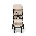 Buggy trvl lx (Nuna x BMW)