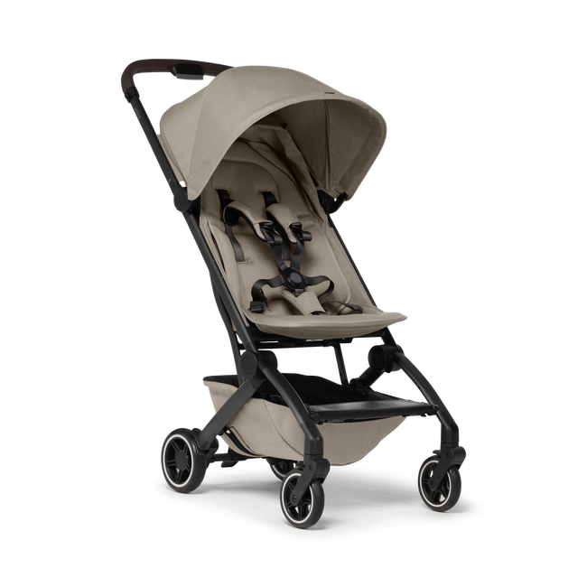 Draagmand voor buggy aer+