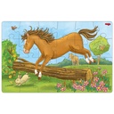 Puzzels: paarden