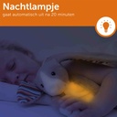 Nachtlampje knuffel Bo