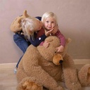 Teddybeer (zittend, 76cm)