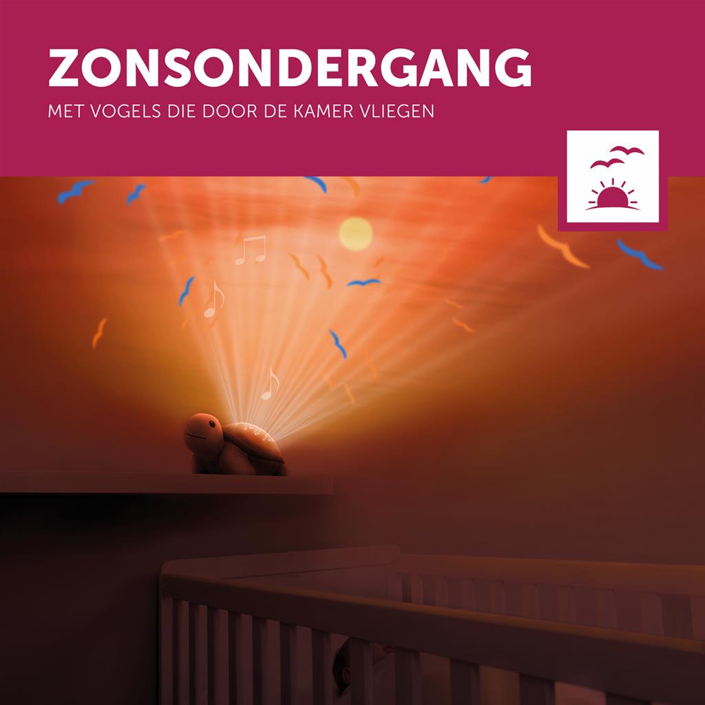 Projector zonsondergang schildpad Tim