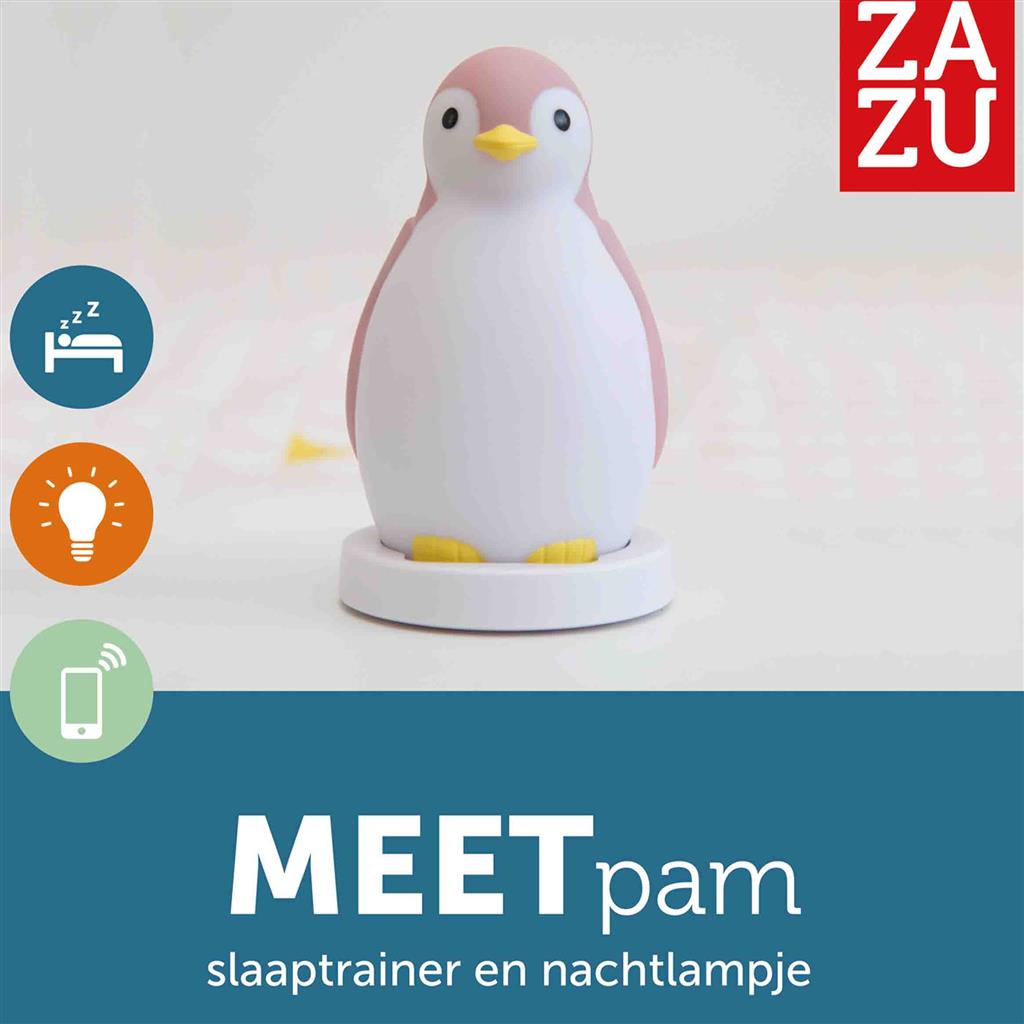 Slaaptrainer pinguïn Pam