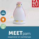 Slaaptrainer pinguïn Pam