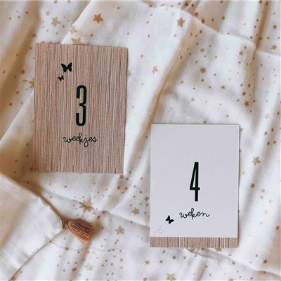 Milestone cards baby: 1e jaar