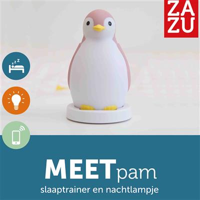 Slaaptrainer pinguïn Pam