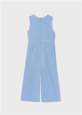 Jumpsuit met strik