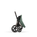 Buggyzit kinderwagen Priam NEW