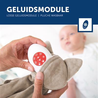 Babydekentje wasbeer