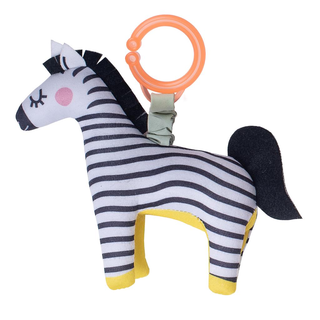 Dizi the zebra