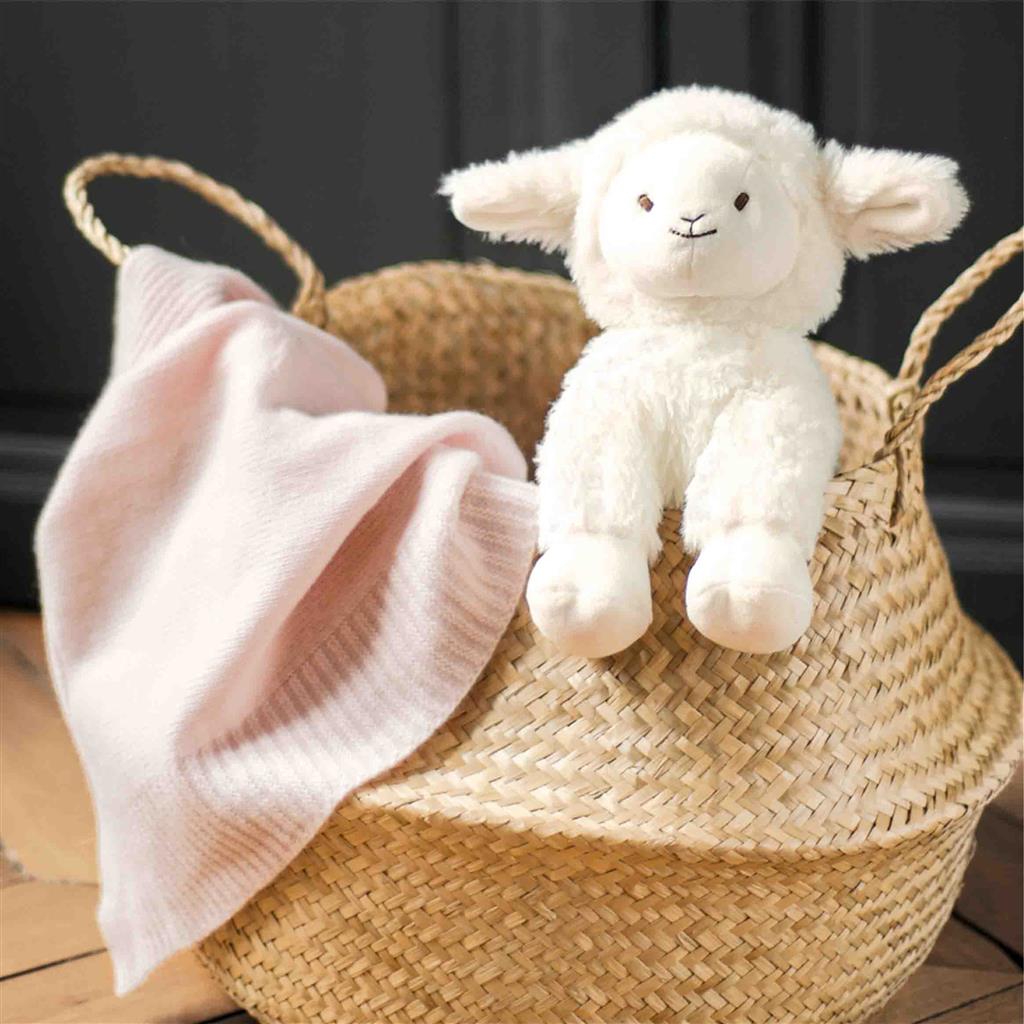 Knuffel schaap Edmond (25cm)