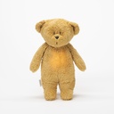 Teddy bear organic (with light and sound)