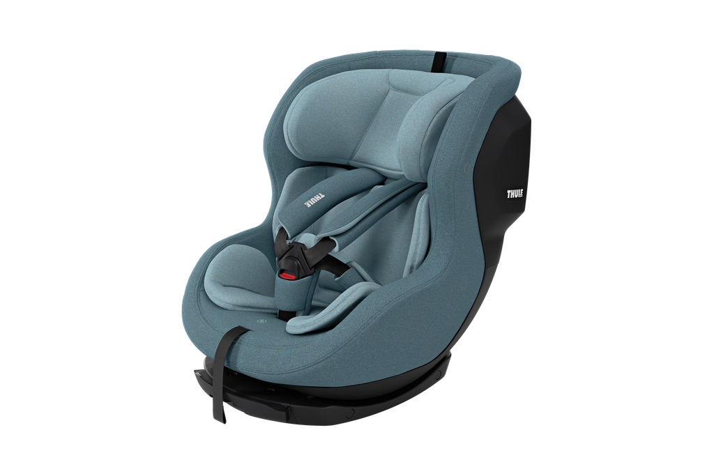 Car Seat Elm