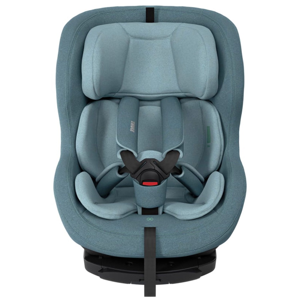 Car seat rearward Elm