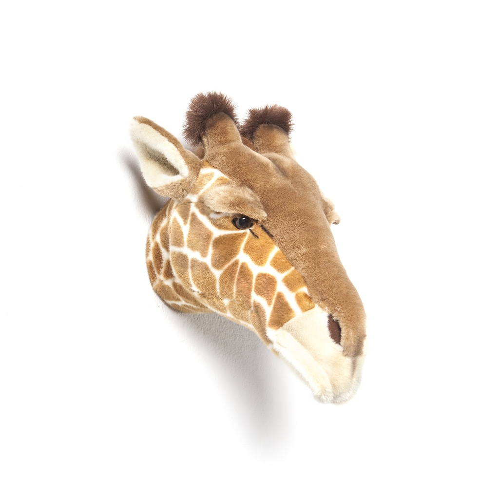 Animal head giraffe Ruby