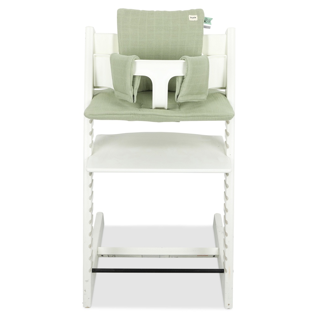 Cushion growth chair TT