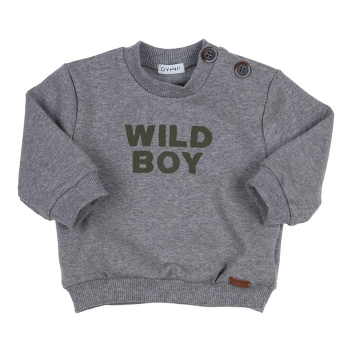 Sweater Carbonchine grey melange