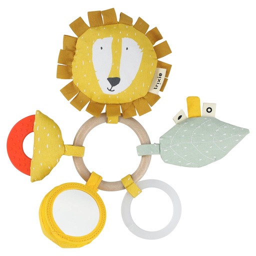 Activiteiten ring mr. lion