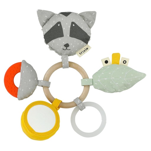 Activiteiten ring mr. raccoon